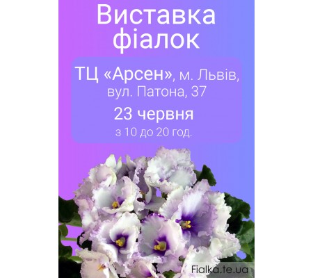 Выставка фиалок во Львове 23 июня 2019р. Выставка фиалок во Львове 23 июня 2019р.